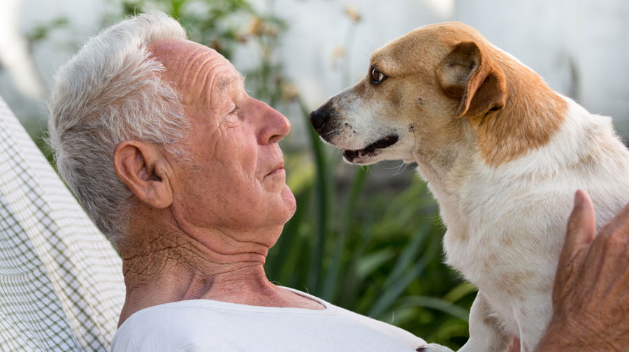 Elderly man with his dog